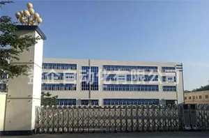 上海当纳利